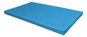 COLCHONETA 100X60X5 CM EN CANASTA