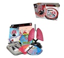 SET PROFESIONAL SISTEMA RESPIRATORIO