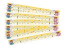 BULLETIN BORDER ABC BEARS