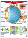 POSTER LA VISTA