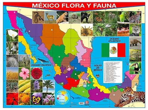 POSTER MEXICO FLORA Y FAUNA