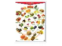 POSTER FRUITS / VEGETABLES C/B