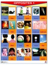 POSTER OPPOSITES 1 / OPPOSITES 2