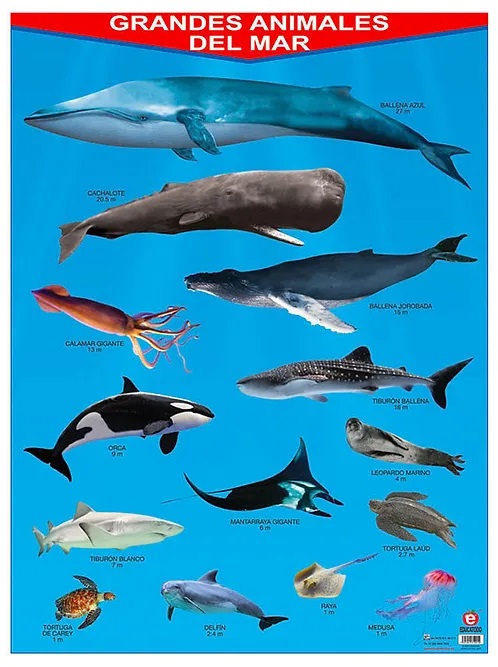 POSTER GRANDES ANIMALES DEL MAR