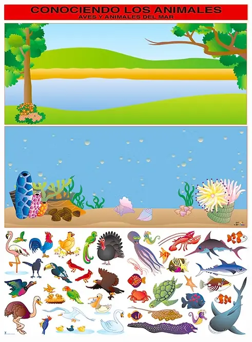 POSTER CONOCIENDO LOS ANIMALES DEL MAR Y AVES