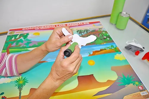 POSTER CONOC. ANIMALES BOSQUE LLUVIOSO DESIERTO