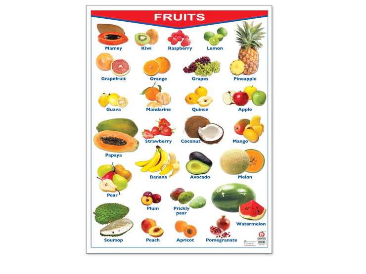 POSTER FRUTAS / FRUITS C/B