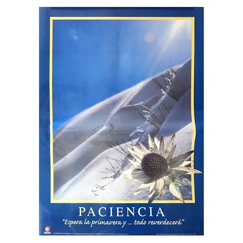 POSTER MOTIVACIONAL PACIENCIA