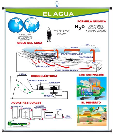 PLUMOAGUA EL AGUA