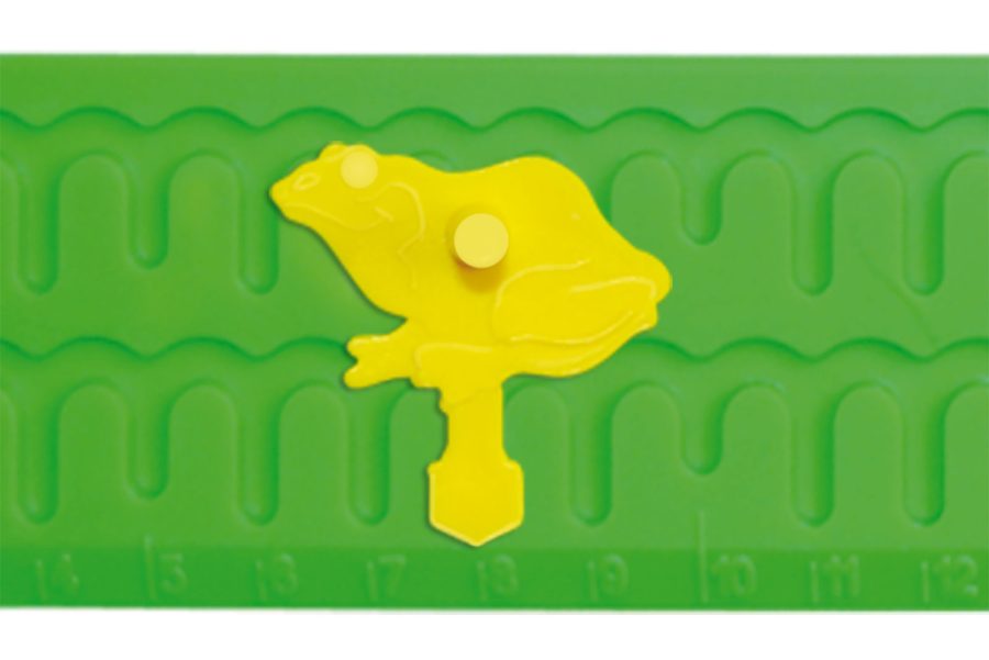 REGLA CON RANA SALTARINA