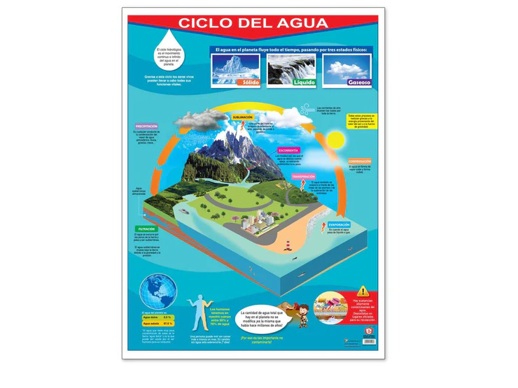 POSTER CICLO DEL NITROGENO Y CARBONO