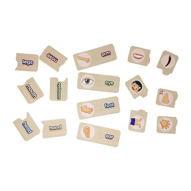ASSOCI BODY PARTS