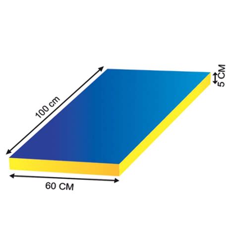 COLCHONETA 120X60X7 CM EN CANASTA