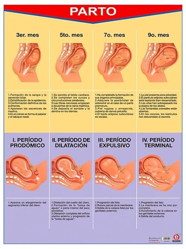 [B-0035-I] POSTER PARTO