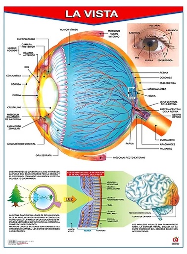 [B-0037-I] POSTER LA VISTA