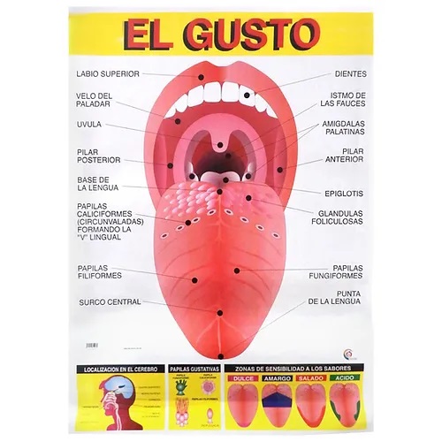 [B-0041-I] POSTER EL GUSTO