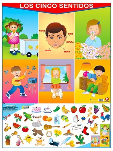 [B-0054-I] POSTER LOS CINCO SENTIDOS