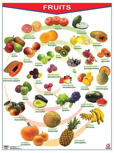 [B-0800-I] POSTER FRUITS / VEGETABLES