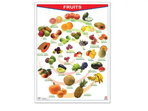 [B-0800-II] POSTER FRUITS / VEGETABLES C/B