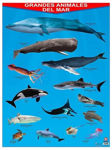 [B-0860-I] POSTER GRANDES ANIMALES DEL MAR