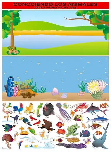 [B-0861-I] POSTER CONOCIENDO LOS ANIMALES DEL MAR Y AVES