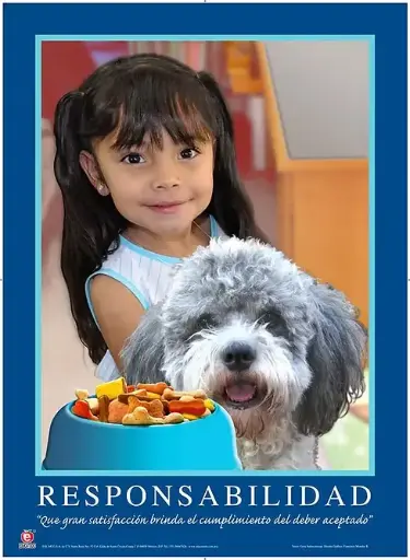 [B-3519-I] POSTER MOTIVACIONAL RESPONSABILIDAD