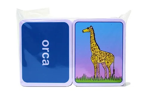 [J-0149] MEMOPARES IMAGEN TEXTO