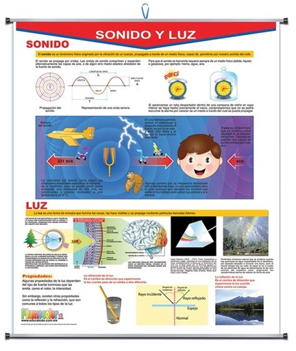 [P-0781] PLUMOCOLOR SONIDO Y LUZ