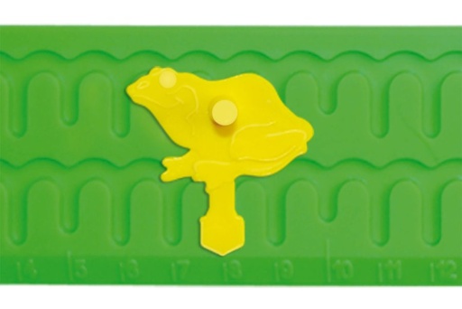 [3299] REGLA CON RANA SALTARINA