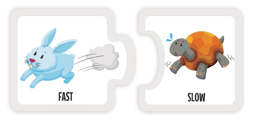 [5387] MATCH OPPOSITE 1 C/24 PZAS