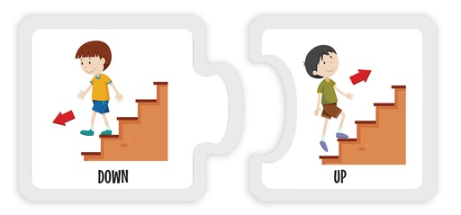 [5388] MATCH OPPOSITE 2 C/24 PZAS