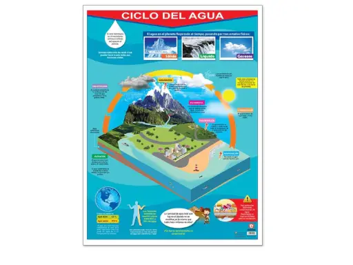 [PTA-005] POSTER CICLO DEL NITROGENO Y CARBONO