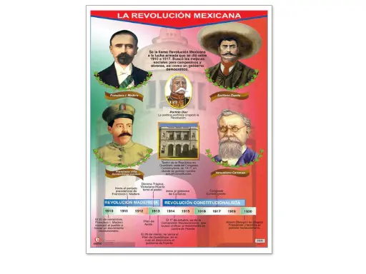 [B-0351] POSTER EVOLUCION HUMANA